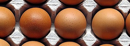 Trazas de huevo no declaradas en albóndigas congeladas procedentes de Suecia (Ref. 2019/037)