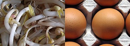 Clara de huevo y soja no declarados en etiquetado de albóndigas de pescado y calamar de España