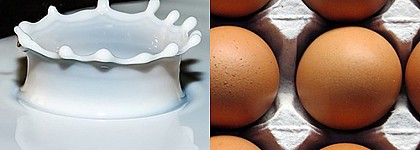 Proteína de leche y proteína de clara de huevo no declaradas en helados procedentes de España