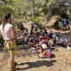 Campamento AEPNAA 2026