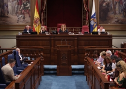 Declaración Institucional Día Mundial de la Alergia